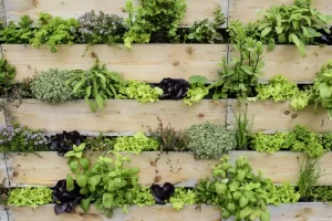 vertical garden